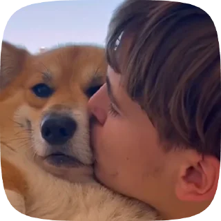🌟 emoji puppy ; @iterwxc Telegram sticker 15 of 20