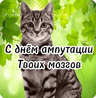 🥳 emoji Мега супер крутые стикеры Telegram sticker 1 of 50