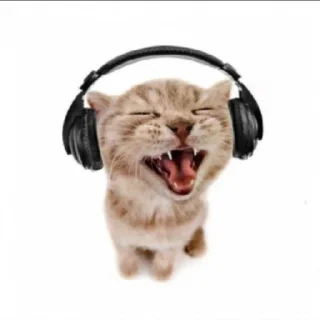 😆 emoji пенис Telegram sticker 15 of 106