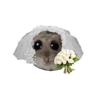 👰‍♀️ emoji Homi4ok 2 Telegram sticker 17 of 105