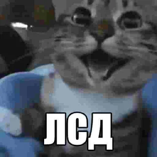 🤣 emoji ЕБАНЫЕ НАРКОМАНЫ Telegram sticker 5 of 17