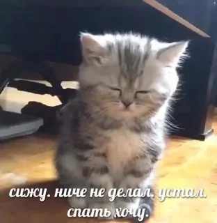 Sticker from чоо пон