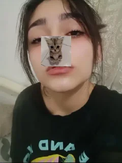 🤩 emoji Киски в городе @TgEmodziBot Telegram sticker 15 of 22