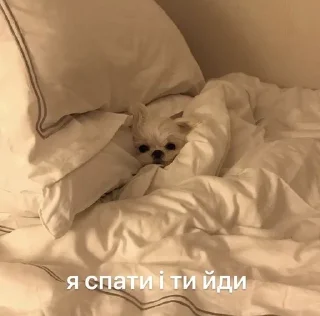 😉 emoji Кицацица Telegram sticker 22 of 120