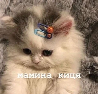 🌟 emoji фразочки Telegram sticker 12 of 42