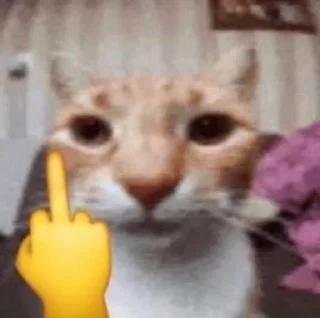 🖕 emoji ня Telegram sticker 6 of 19