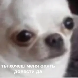 😢 emoji Твоя любовь Telegram sticker 13 of 28
