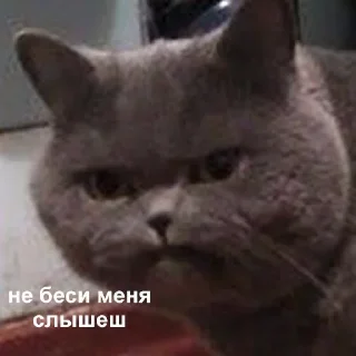 😖 emoji Твоя любовь Telegram sticker 18 of 28