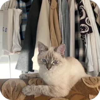 😡 emoji айла не в восторге Telegram sticker 11 of 57