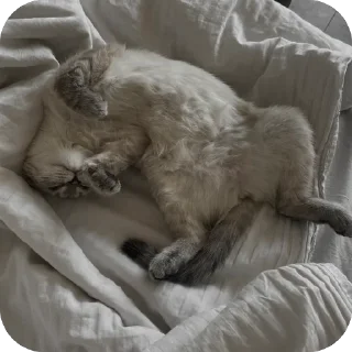 🥰 emoji айла не в восторге Telegram sticker 21 of 57