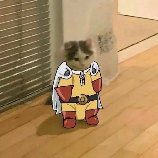 🐱 emoji Мем коты Telegram sticker 19 of 116