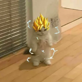 🐱 emoji Мем коты Telegram sticker 23 of 116