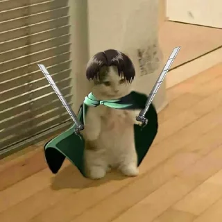 Sticker from котятки