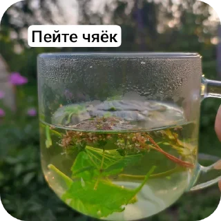 🌸 emoji Мир динди Telegram sticker 11 of 13