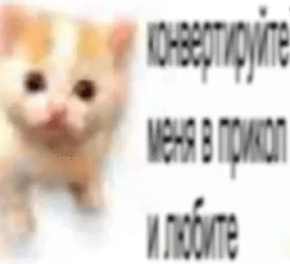 🌟 emoji Сайкины смеяки Telegram sticker 22 of 120