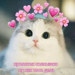 👋 emoji Love ekler Telegram sticker 8 of 120