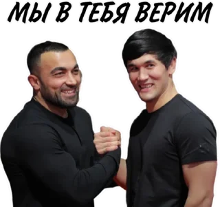 🤝 emoji Дзюдо Арт Telegram sticker 9 of 30