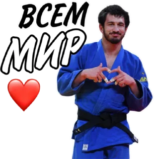 🌍 emoji Дзюдо Арт Telegram sticker 19 of 30