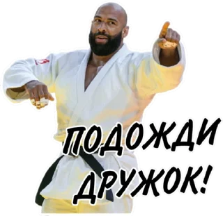 🤨 emoji Дзюдо Арт Telegram sticker 15 of 30