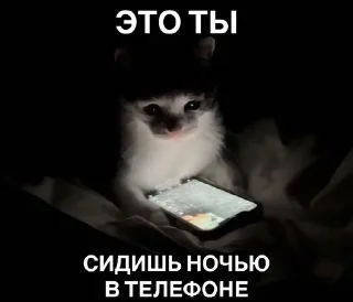 🌟 emoji котики=ты Telegram sticker 23 of 39