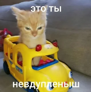 😶 emoji котики=ты Telegram sticker 5 of 39