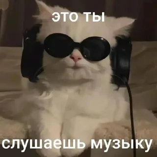 🎧 emoji котики=ты Telegram sticker 8 of 39