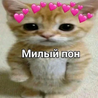 Sticker from Пон