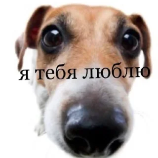 💖 emoji я тебя люблю. .  . Telegram sticker 17 of 28