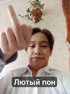 🌟 emoji Димочка Telegram sticker 17 of 39