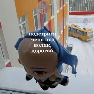 👩‍🦲 emoji ганюй Telegram sticker 23 of 30
