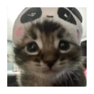 😯 emoji любимые стикеры @pupitrup Telegram sticker 16 of 54