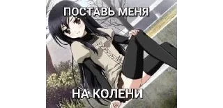 Sticker from тянкикоте @kuritmysli