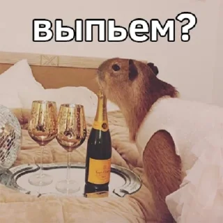 🍷 emoji капибавы (https://t.me/tg_free_stickers) Telegram sticker 11 of 48