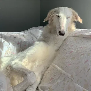 😴 emoji как же он хорош Telegram sticker 23 of 32