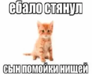 🌟 emoji фигняалины Telegram sticker 10 of 105
