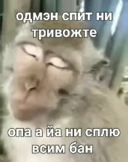 🌟 emoji Русло манки Telegram sticker 21 of 84