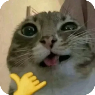 🐱 emoji @STICKRULE <- БОЛЬШЕ Telegram sticker 12 of 59