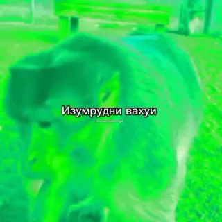 🟢 emoji Русло манки Telegram sticker 24 of 84