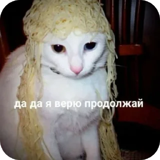 🐱 emoji Мемасики Telegram sticker 22 of 107