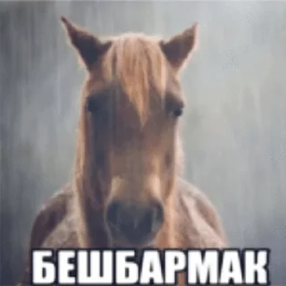 🌟 emoji пошёл нахуй Telegram sticker 14 of 61