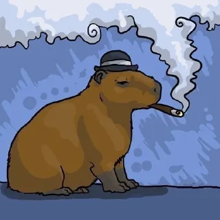 🚬 emoji Kapibara&Cheburashka=? Telegram sticker 14 of 15