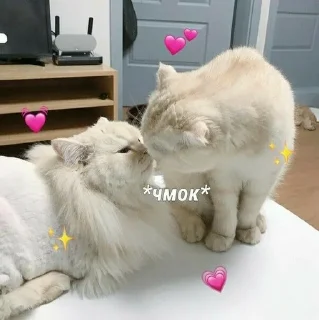 🌟 emoji Я люблю Алину ❤️💍 Telegram sticker 9 of 79