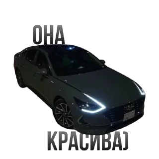 Sticker from ❤️СОНАТА❤️