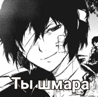 🙂 emoji Двероля лох Telegram sticker 4 of 49