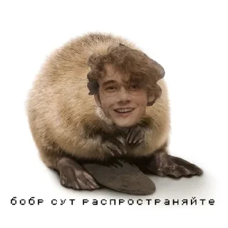 ❤️ emoji май беловед Telegram sticker 18 of 82