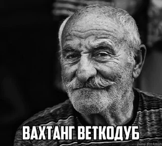 🌟 emoji Святожир бибосад Telegram sticker 22 of 46