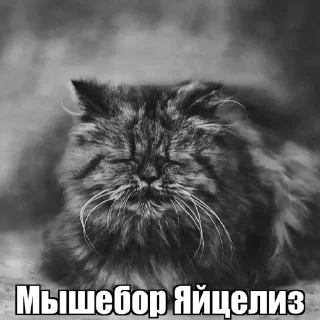 😱 emoji Святожир бибосад Telegram sticker 6 of 46