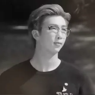 🐨 emoji ‹る namjoon ᨦ🗯 @martinasuuu Telegram sticker 13 of 40