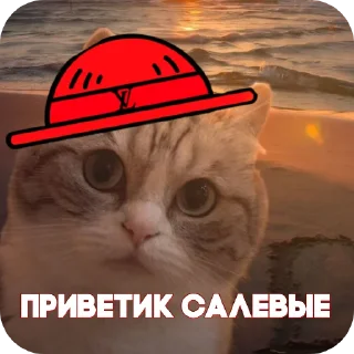 👍 emoji Пираты > @ChatPirates1007 Telegram sticker 24 of 30