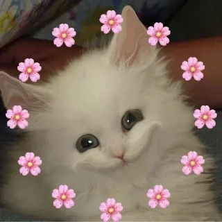 🙃 emoji Хроники о неважном Telegram sticker 14 of 119